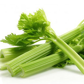 CELERY